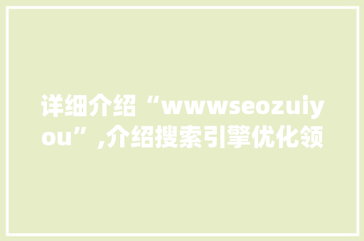 详细介绍“wwwseozuiyou”,介绍搜索引擎优化领域的至高境界