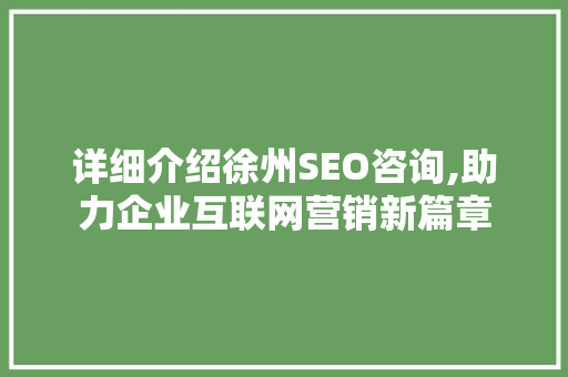 详细介绍徐州SEO咨询,助力企业互联网营销新篇章  第1张