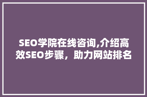 SEO学院在线咨询,介绍高效SEO步骤，助力网站排名提升