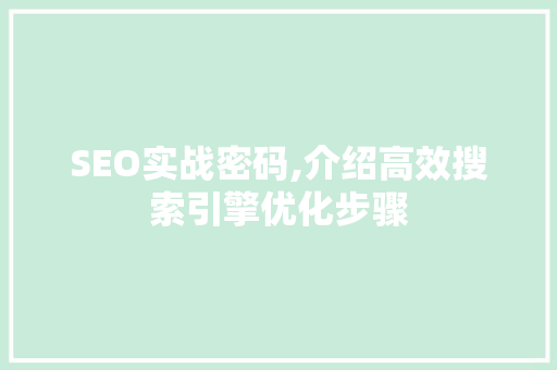 SEO实战密码,介绍高效搜索引擎优化步骤