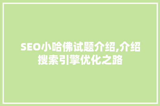 SEO小哈佛试题介绍,介绍搜索引擎优化之路