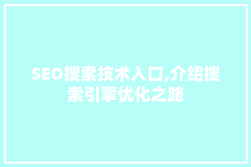 SEO搜索技术入口,介绍搜索引擎优化之路