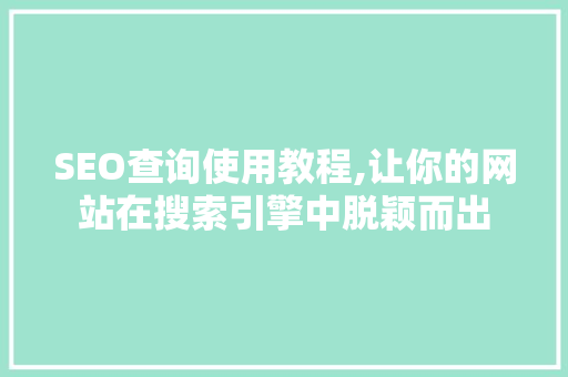 SEO查询使用教程,让你的网站在搜索引擎中脱颖而出
