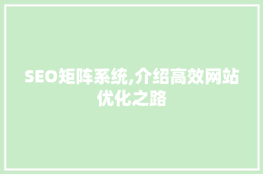 SEO矩阵系统,介绍高效网站优化之路