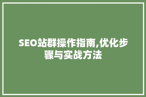 SEO站群操作指南,优化步骤与实战方法