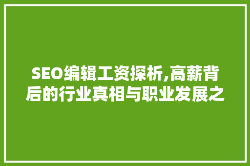 SEO编辑工资探析,高薪背后的行业真相与职业发展之路