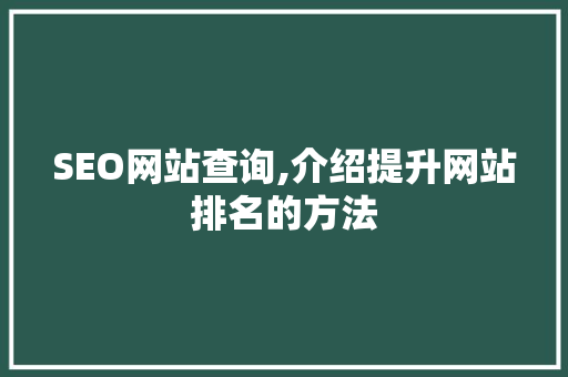 SEO网站查询,介绍提升网站排名的方法