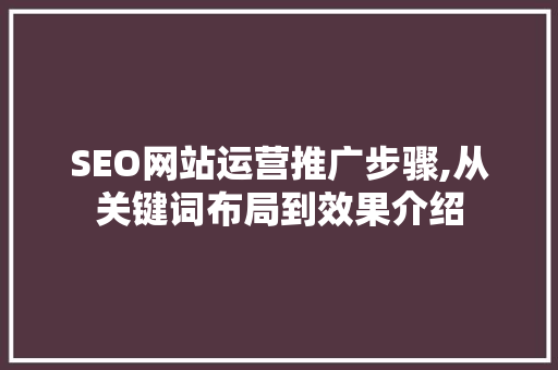 SEO网站运营推广步骤,从关键词布局到效果介绍