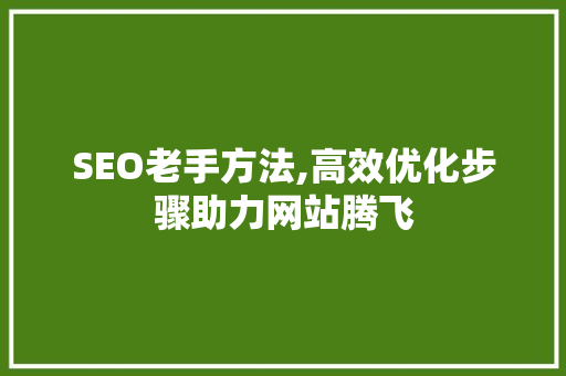 SEO老手方法,高效优化步骤助力网站腾飞