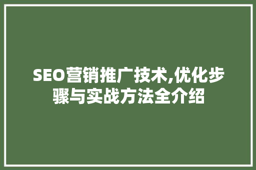 SEO营销推广技术,优化步骤与实战方法全介绍  第1张
