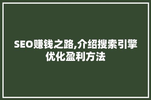 SEO赚钱之路,介绍搜索引擎优化盈利方法