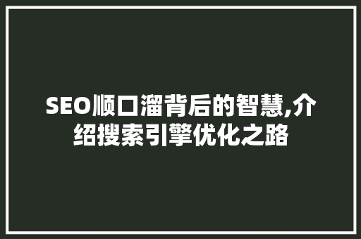 SEO顺口溜背后的智慧,介绍搜索引擎优化之路