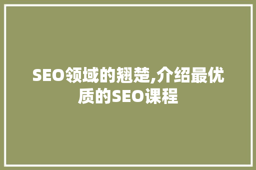 SEO领域的翘楚,介绍最优质的SEO课程