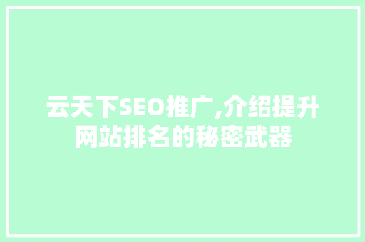 云天下SEO推广,介绍提升网站排名的秘密武器