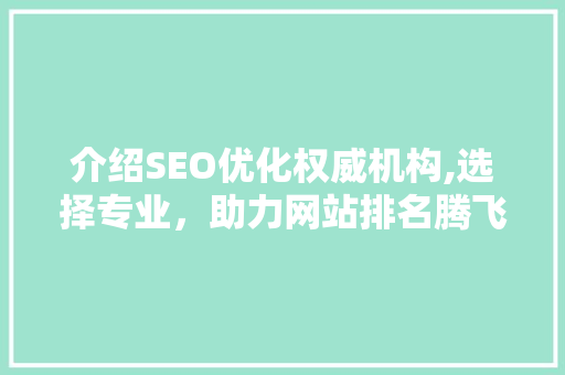 介绍SEO优化权威机构,选择专业，助力网站排名腾飞
