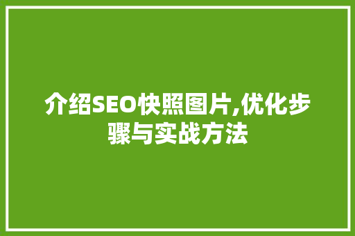 介绍SEO快照图片,优化步骤与实战方法