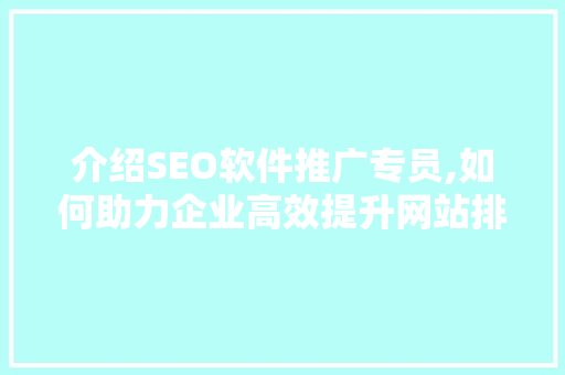 介绍SEO软件推广专员,如何助力企业高效提升网站排名