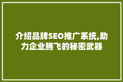 介绍品牌SEO推广系统,助力企业腾飞的秘密武器