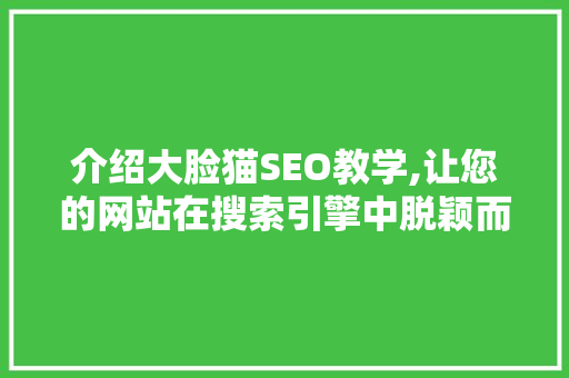 介绍大脸猫SEO教学,让您的网站在搜索引擎中脱颖而出