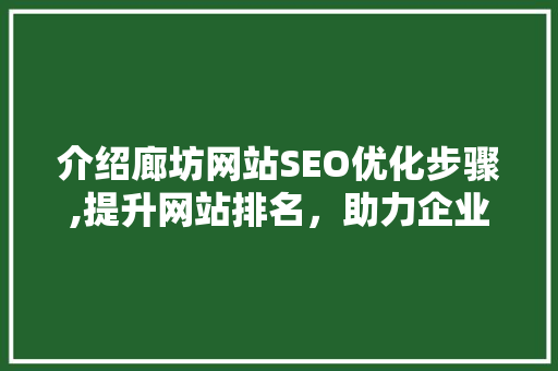 介绍廊坊网站SEO优化步骤,提升网站排名，助力企业腾飞