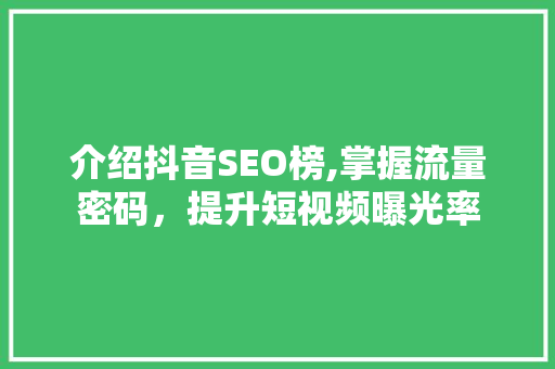介绍抖音SEO榜,掌握流量密码，提升短视频曝光率