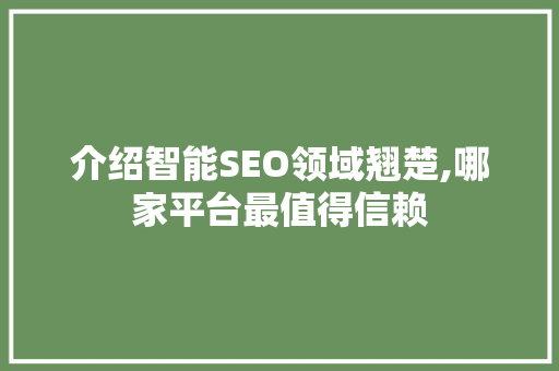 介绍智能SEO领域翘楚,哪家平台最值得信赖