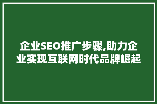 企业SEO推广步骤,助力企业实现互联网时代品牌崛起