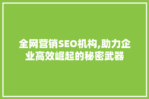 全网营销SEO机构,助力企业高效崛起的秘密武器