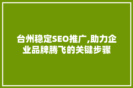 台州稳定SEO推广,助力企业品牌腾飞的关键步骤