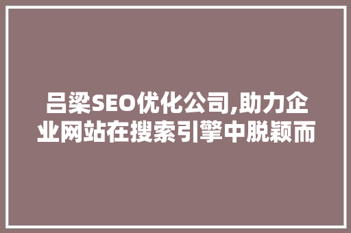 吕梁SEO优化公司,助力企业网站在搜索引擎中脱颖而出  第1张