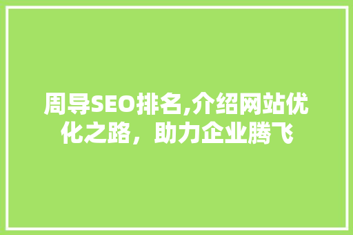 周导SEO排名,介绍网站优化之路，助力企业腾飞