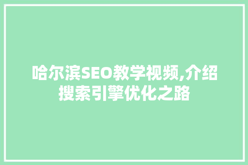 哈尔滨SEO教学视频,介绍搜索引擎优化之路