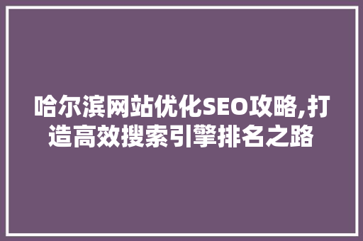 哈尔滨网站优化SEO攻略,打造高效搜索引擎排名之路