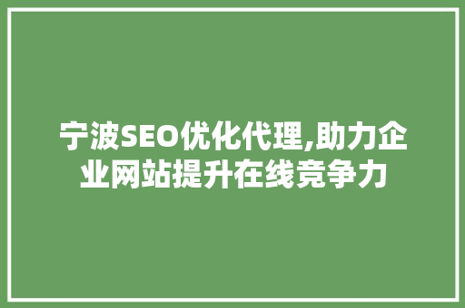 宁波SEO优化代理,助力企业网站提升在线竞争力