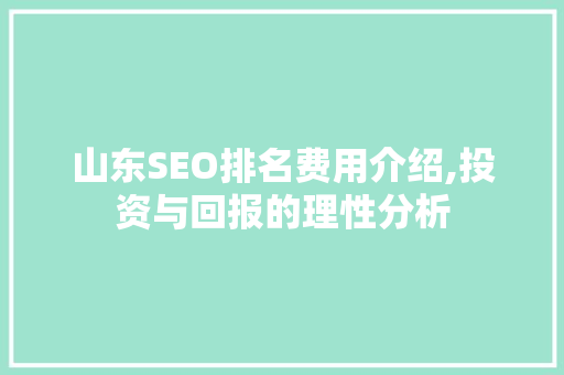 山东SEO排名费用介绍,投资与回报的理性分析