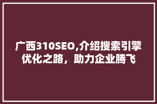 广西310SEO,介绍搜索引擎优化之路，助力企业腾飞  第1张
