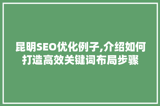 昆明SEO优化例子,介绍如何打造高效关键词布局步骤