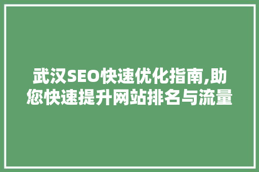 武汉SEO快速优化指南,助您快速提升网站排名与流量