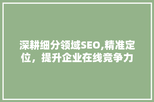 深耕细分领域SEO,精准定位，提升企业在线竞争力