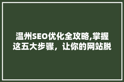 温州SEO优化全攻略,掌握这五大步骤，让你的网站脱颖而出！