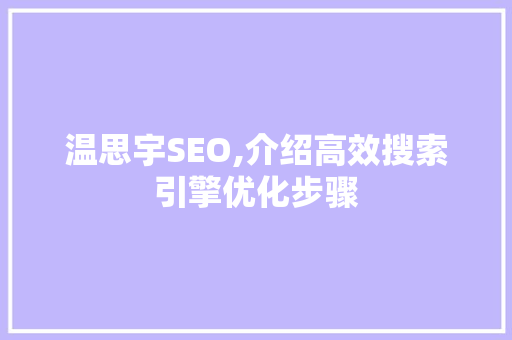 温思宇SEO,介绍高效搜索引擎优化步骤