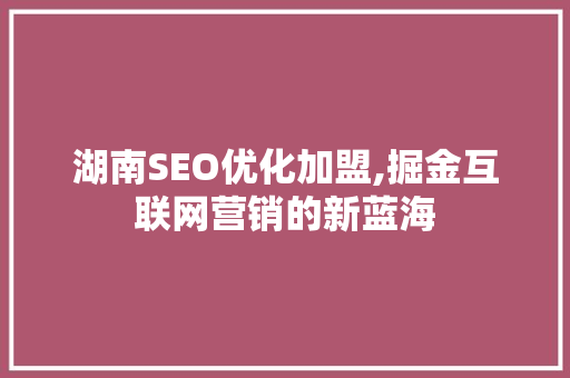 湖南SEO优化加盟,掘金互联网营销的新蓝海