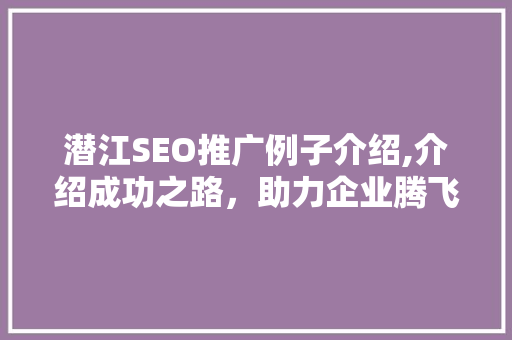 潜江SEO推广例子介绍,介绍成功之路，助力企业腾飞  第1张