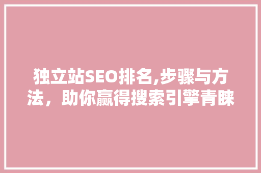 独立站SEO排名,步骤与方法，助你赢得搜索引擎青睐  第1张