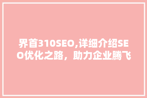 界首310SEO,详细介绍SEO优化之路，助力企业腾飞
