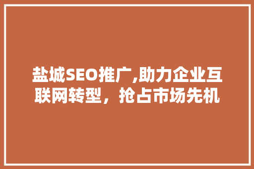 盐城SEO推广,助力企业互联网转型，抢占市场先机