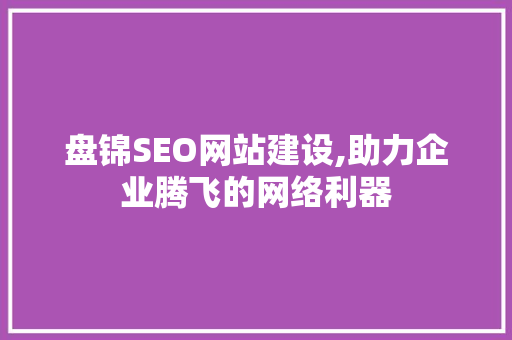 盘锦SEO网站建设,助力企业腾飞的网络利器