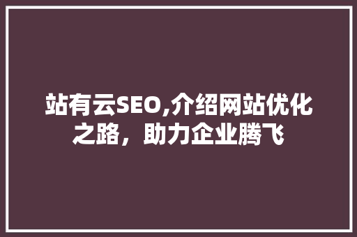 站有云SEO,介绍网站优化之路，助力企业腾飞