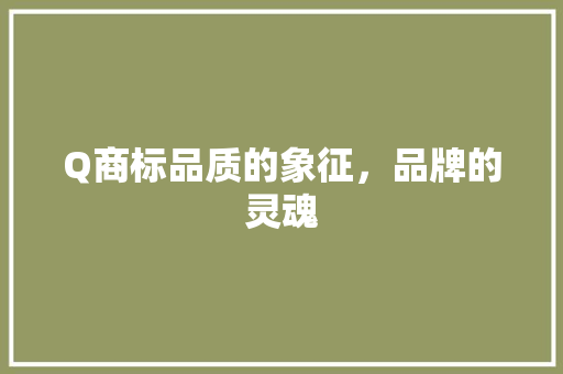 Q商标品质的象征，品牌的灵魂  第1张