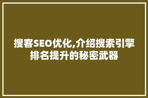 搜客SEO优化,介绍搜索引擎排名提升的秘密武器